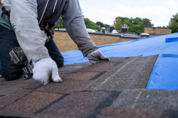 Best Storm Damage Roof Repair  in Bridgehampton, NY
