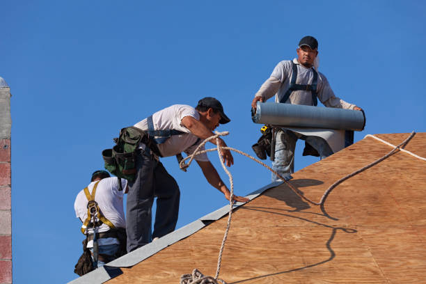 Best Roof Gutter Cleaning  in Bridgehampton, NY